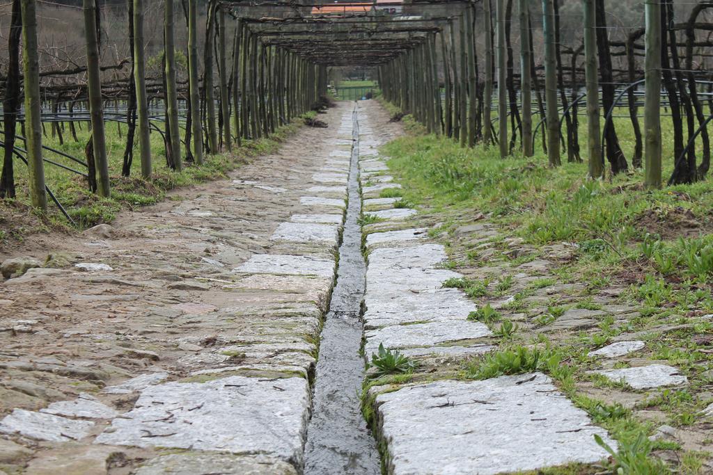 Вилла Quinta Da Eira Do Sol Гимарайнш Экстерьер фото